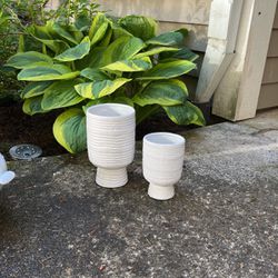 Two Modern Planter Flower Pots
