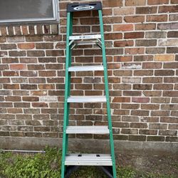 6ft Werner ladder 