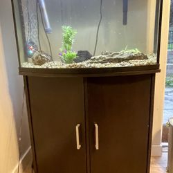 36 Gallon Glass Fish Tank Starter Kit *COMES WITH BASIC NEEDS*