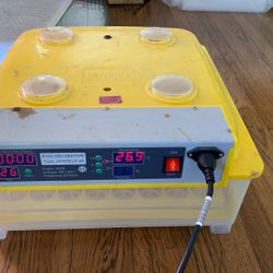 Egg Incubator