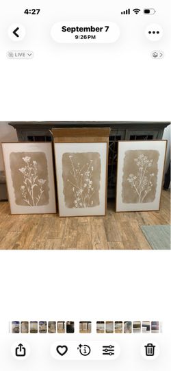 New!✨ Beautiful 24x36 3 pc wood framed boho floral wall art set. **see comments**