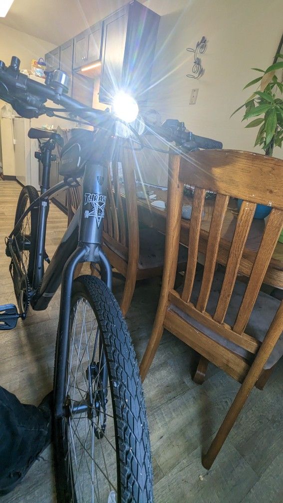 Trek Dual Sport+ 2 2023 With Upgraded Battery