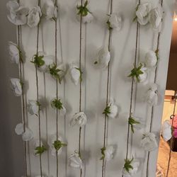 Hobby Lobby Backdrop 