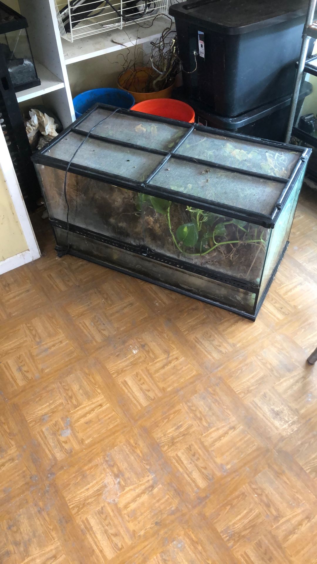 40 Gallon Reptile Tank Exo Terra Terrarium