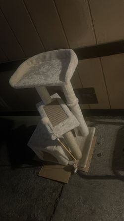 Casa d gato