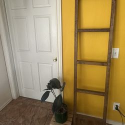 Wooden Decor Ladder