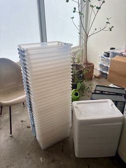 Sterelite bins