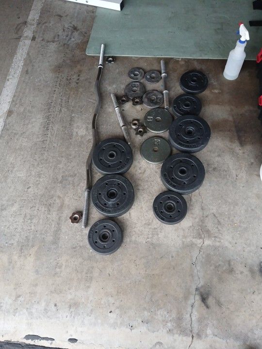 Weights & Curl Bar
