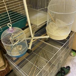 Bird Cages 