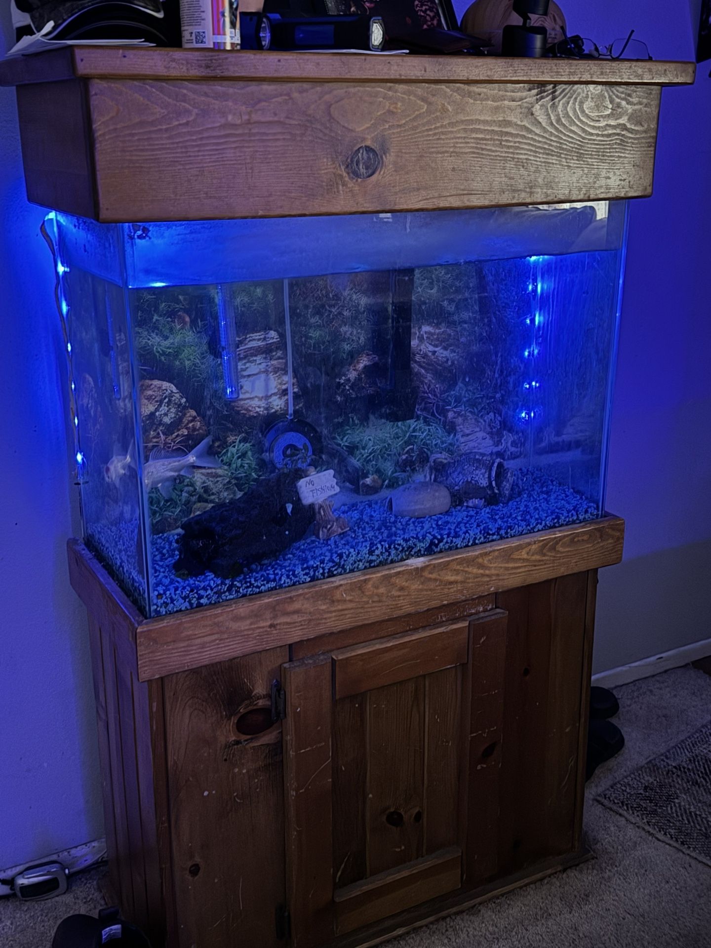 Fish Tank