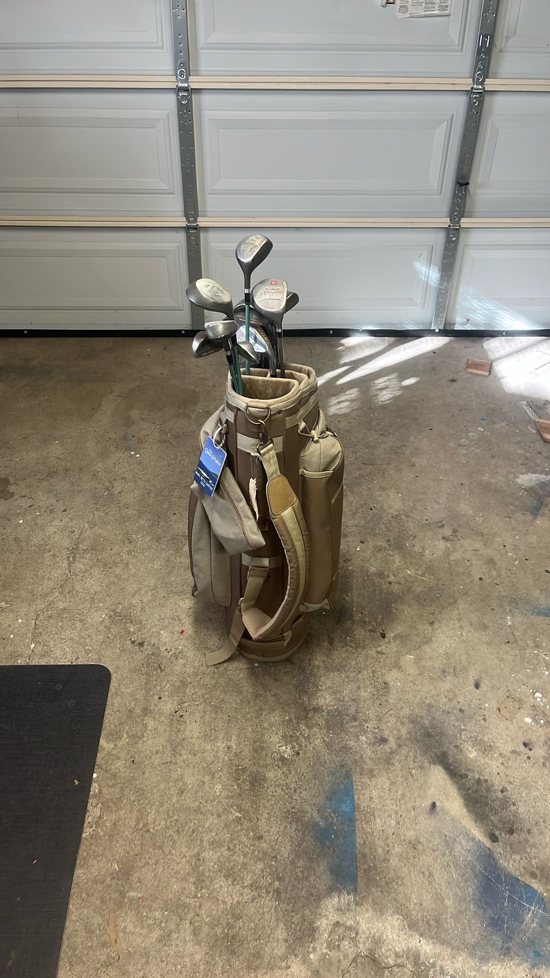 Golf Bag Basically New 