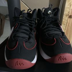 Air Penny Size 11 