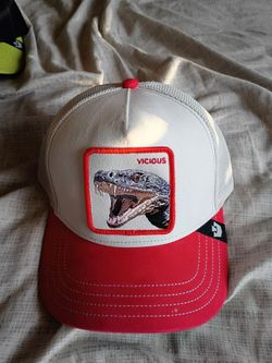 Vicious Goorin bros hat