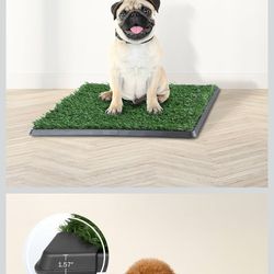 3 piece dog relief system for small pets