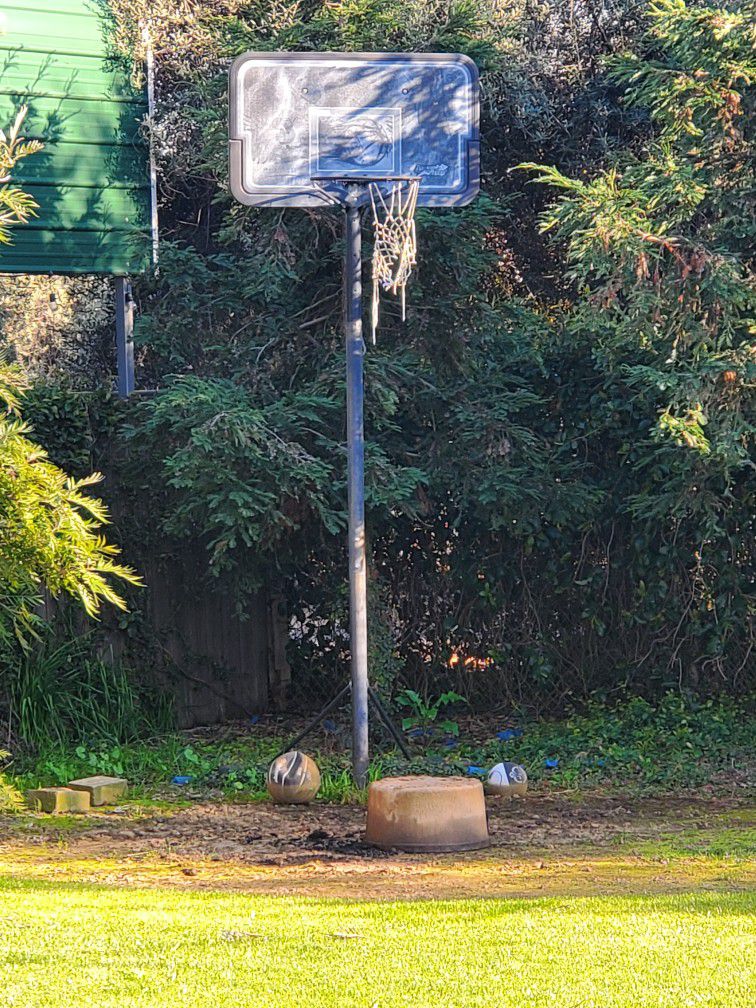 Portable And Adjustable Basketball Hoop.