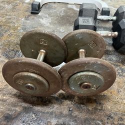 Two 25 Lb Weights