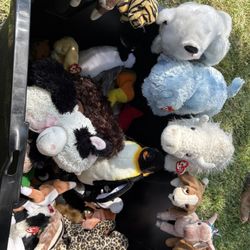 Beanie Babies 