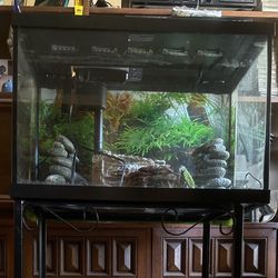 20gal High Complete Tank W/New Hood 