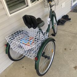 Adult Trike 