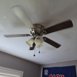 48" Inch Ceiling Fan "Free"