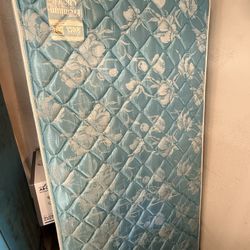 FREE Twin Mattresses