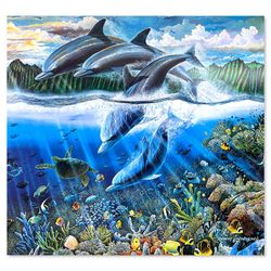 Robert Lyn Nelson, "Glisten of Na Pali" Hand Signed Poster