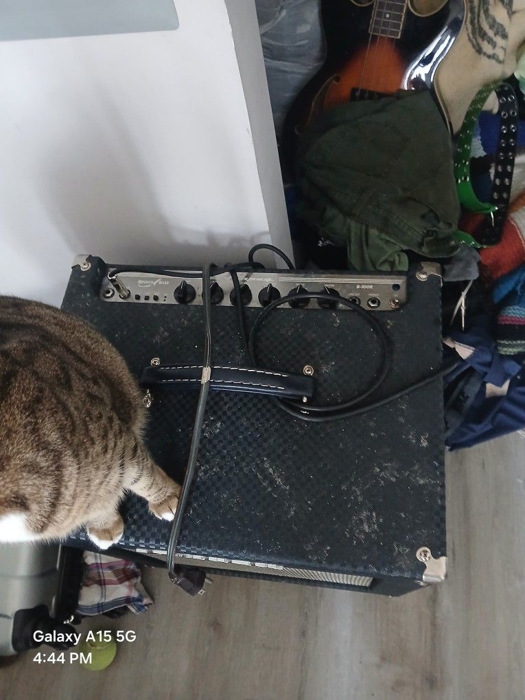 Ampeg B100R Amp
