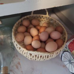 Farm Fresh Eggs