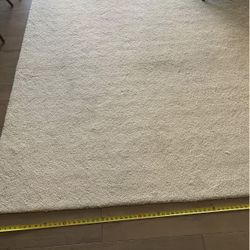 9’x12’ William Sonoma Area Rug- Sell 1pm