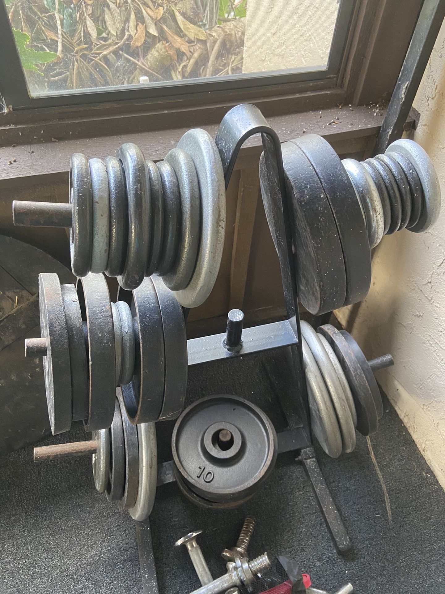 Free Weights for sale for Sale in Plant City, FL OfferUp