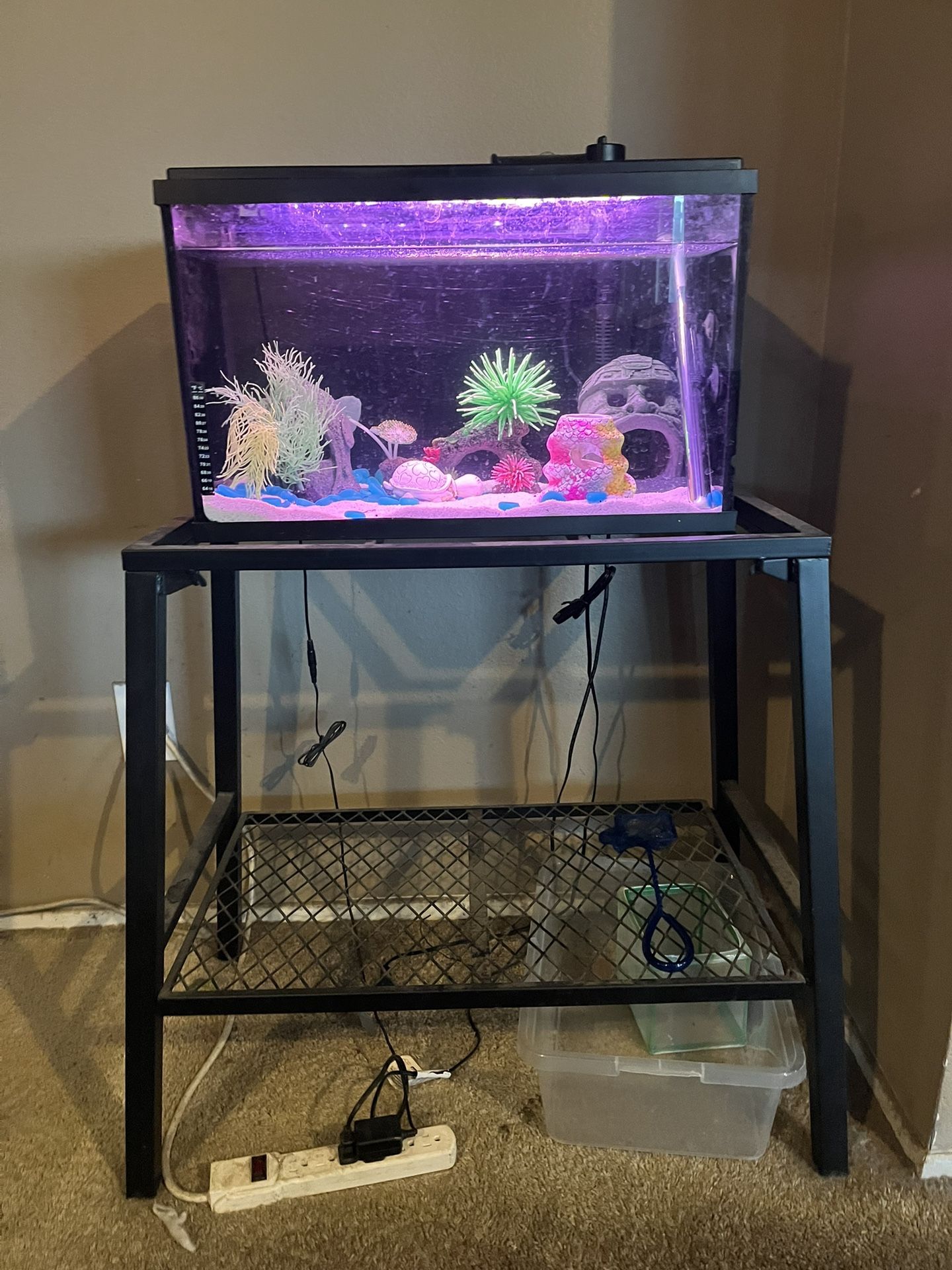 Fish Tank With Shelf