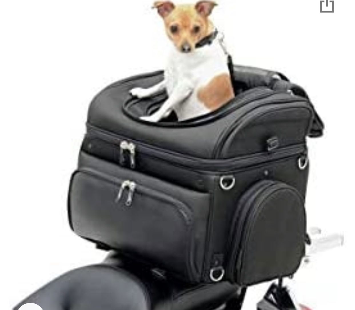Saddlemen Pet Voyager, Black
