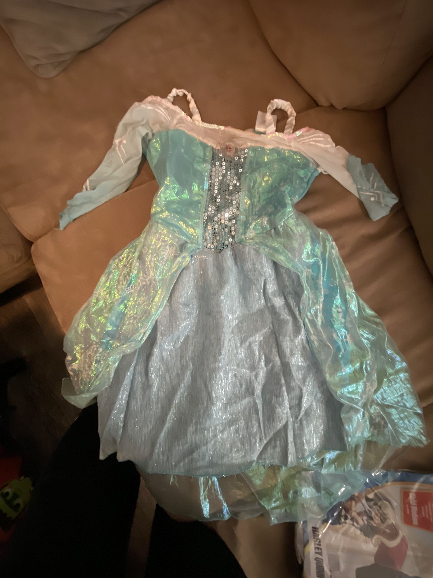 Frozen Elsa costume