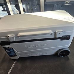 Igloo Cooler