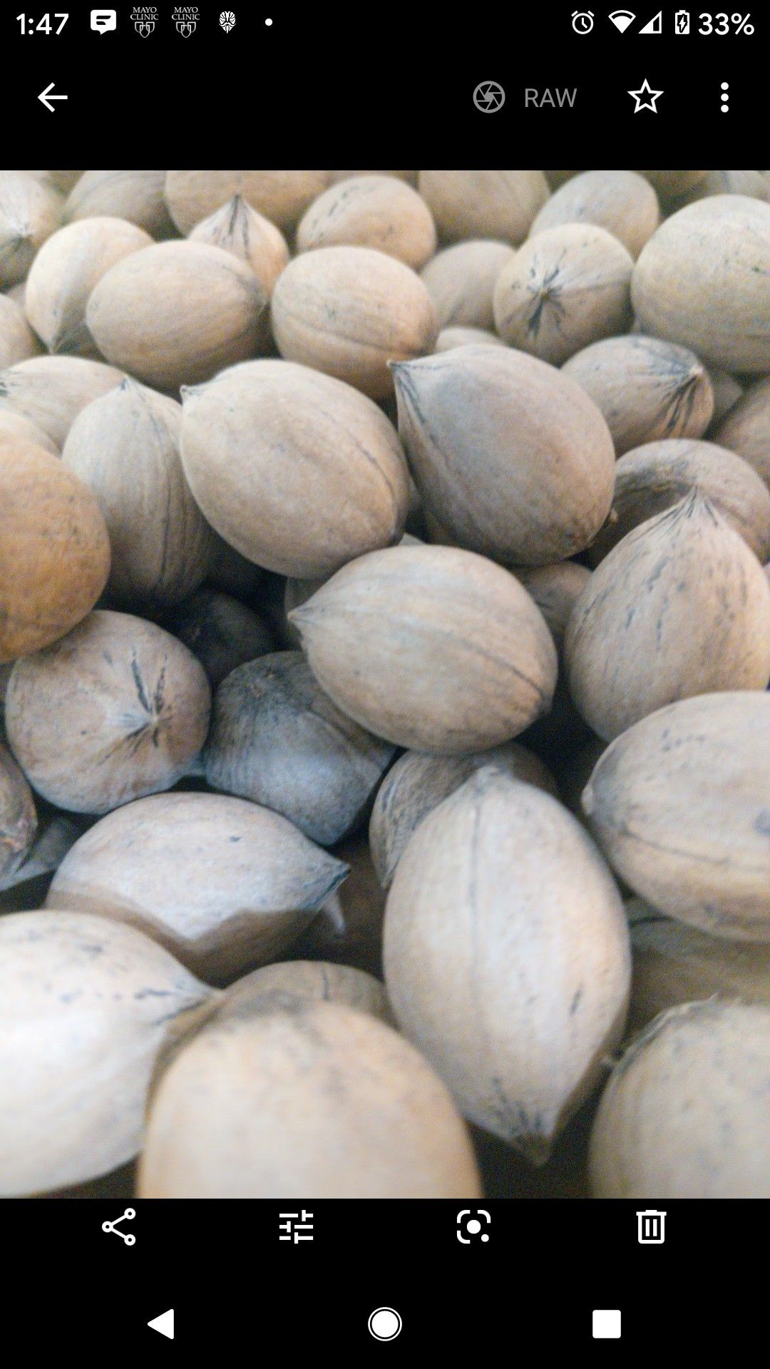 Pecans