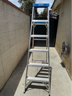 6ft Blue and Grey Ladder