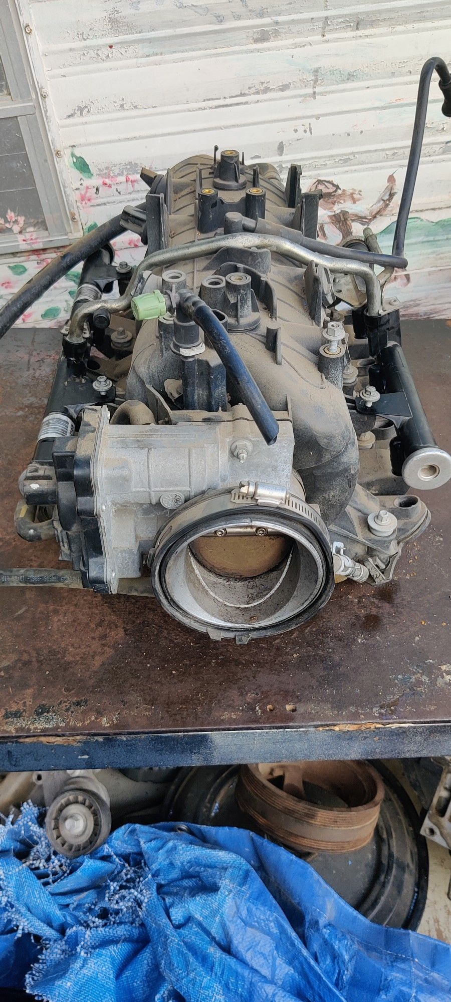 LS Intake Manifold