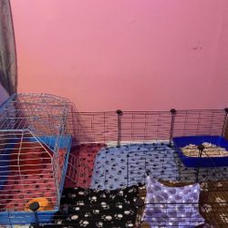 GUINEA PIG CAGE AND PLAYPEN W/ ACCESSORIES