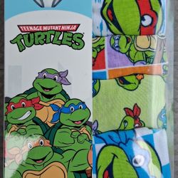 4T TEENAGE MUTANT NINJA TURTLES BRIEFS