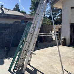 Ladders - 2 8ft, 1 6ft 
