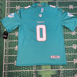 Miami Dolphins