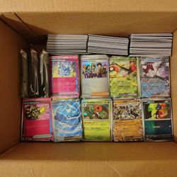 Pokemon Bulk Box