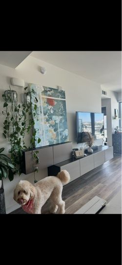 Besta Cabinet / TV stand