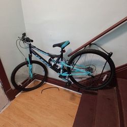 This Is Walmart Bike