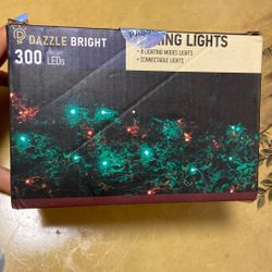 Christmas Lights 