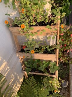 Handmade plants stand serious inquires no bargain
