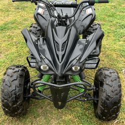 Quad Atv 125cc (forward Neutral Reverse)