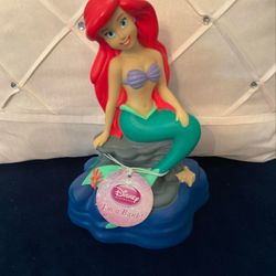 New Disney Princess Bank-9 Inches Tall 