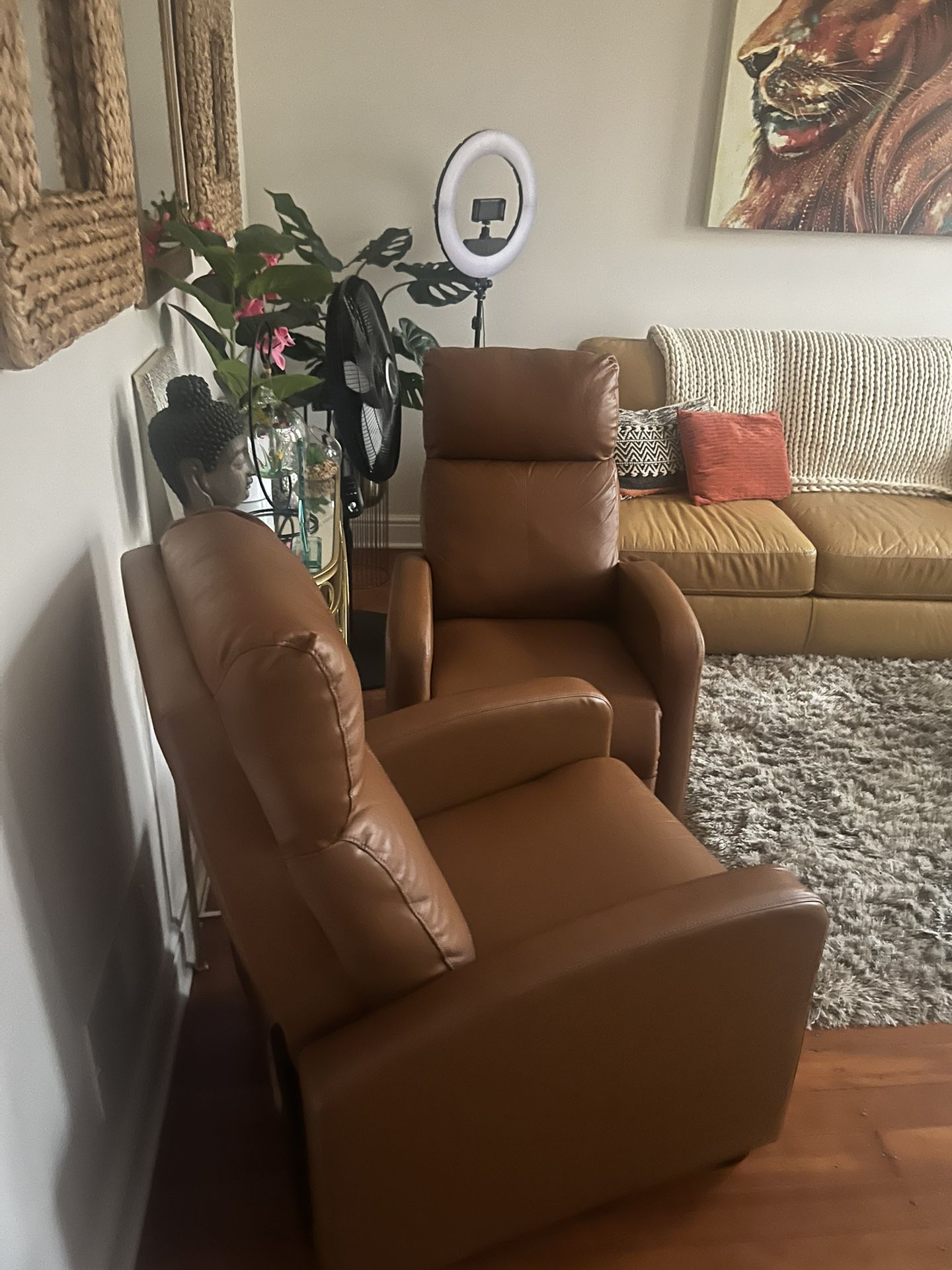 Brown recliner chairs (set) 