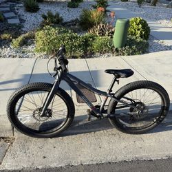 Bike Kids Mountain Bike 24” Rev REI co op